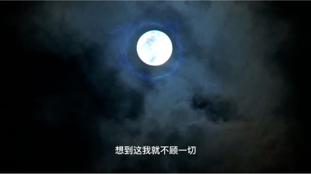 夜晚是属于月亮的温暖