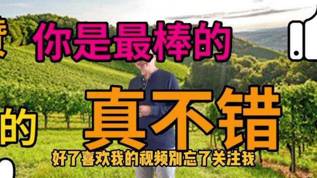 一生必喝的36个葡萄酒产区——中国新疆