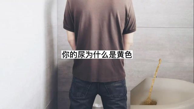 你撒的尿为什么是黄色且还带点骚味呢?