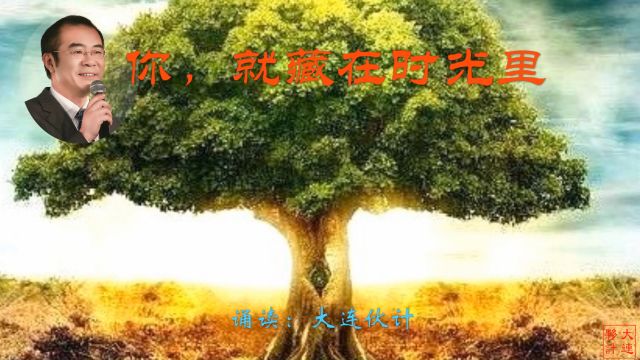 《你,就藏在时光里》作者:紫云烟 诵读:大连伙计