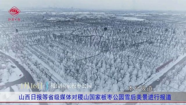 山西日报等省级媒体对稷山国家板枣公园雪后美景进行报道