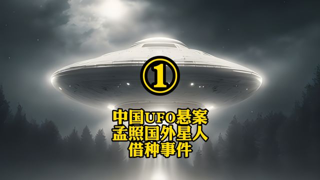 中国UFO悬案孟照国外星人借种事件①