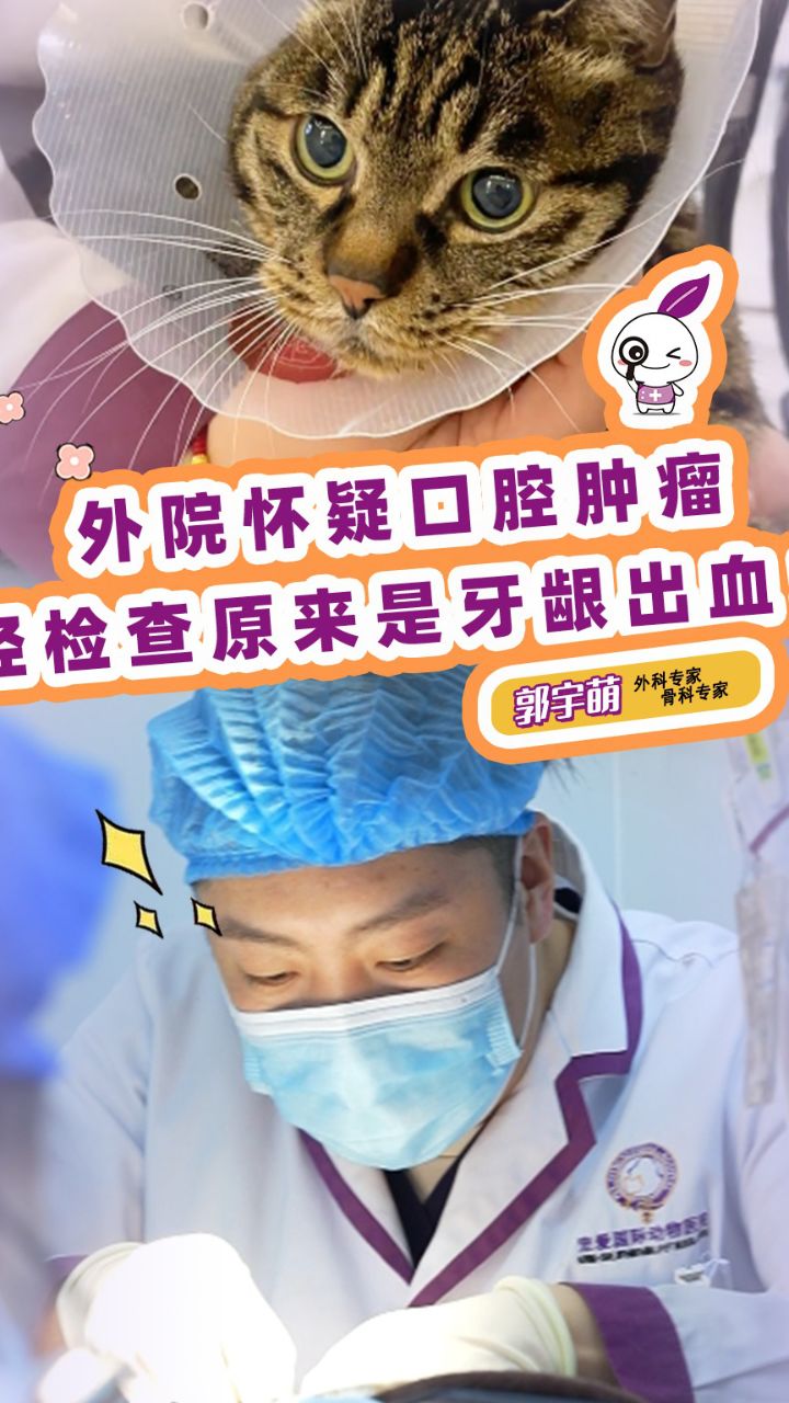 爱毛孩子的一百种方式#上抖音爱宠无难事