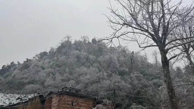 瑞雪纷飞迎新春!韶关乐昌山披银装,如梦似幻!