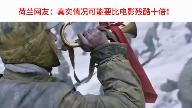 外网看中国抗美援朝电影,荷兰网友:真实情况比电影残酷十倍!