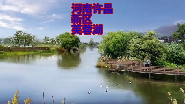 河南许昌新区芙蓉湖