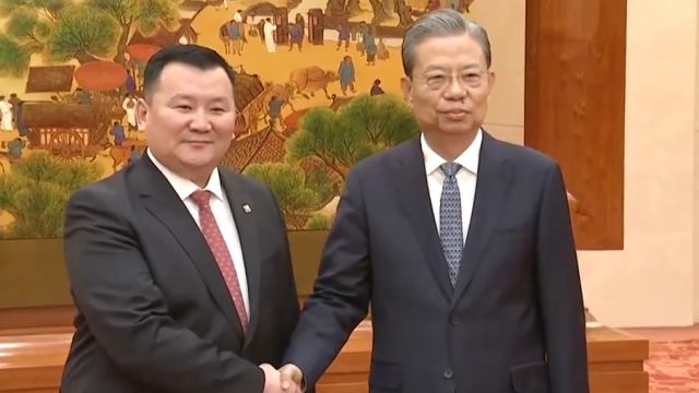 赵乐际会见蒙古国家大呼拉尔副主席