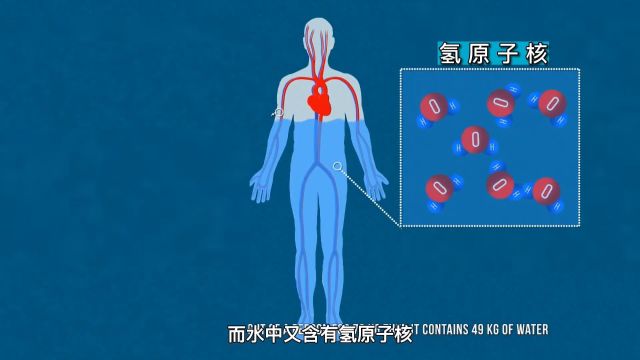 核磁共振的工作原理到底是怎么组成的他为什么可以把人体的组织扫描出来