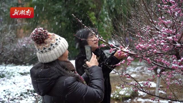 绥宁:鹅毛大雪满天飞 踏雪赏梅乐融融