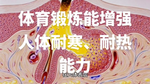 体育锻炼能增强人体耐寒、耐热能力