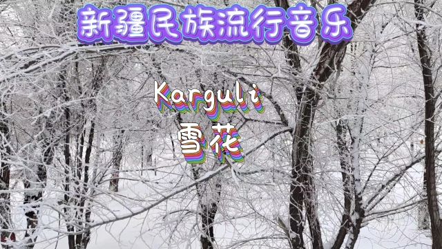 新疆民族流行音乐《雪花》