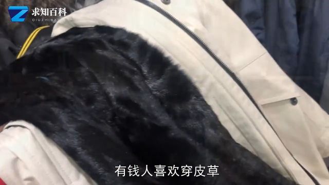 风靡一时的皮草败给羽绒服?昔日时尚象征被吐槽中看不中用?皮草品牌貂皮 1