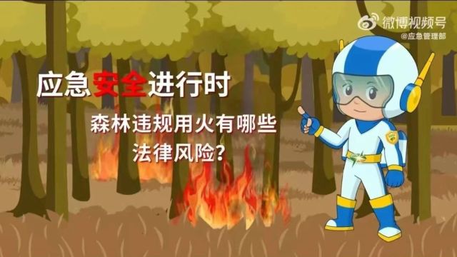 护林防火|森林违规用火有哪些法律风险?