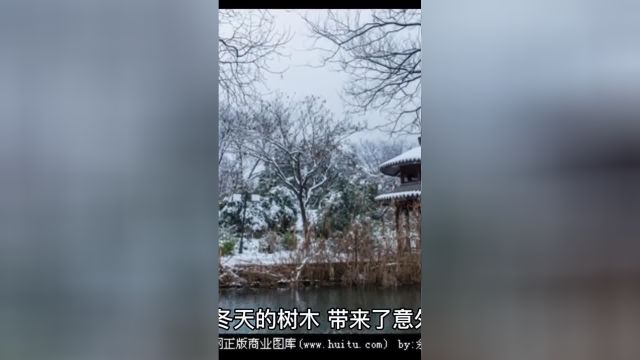 北岛《陌生的海滩》