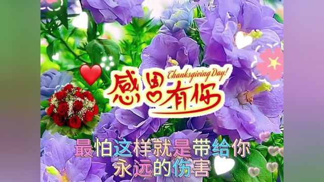 ❤谢谢你的爱【歌曲】送给你