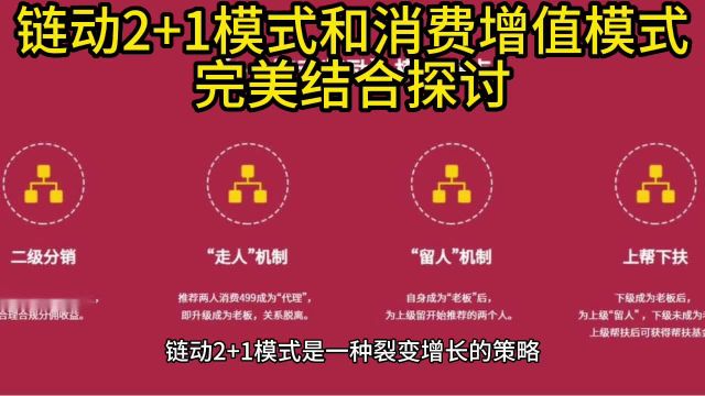 链动2+1模式和消费增值模式完美结合探讨