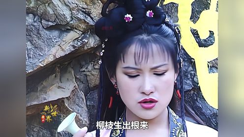 第22集 妙善历尽千磨万难 终于修成正果 化身观世音菩萨