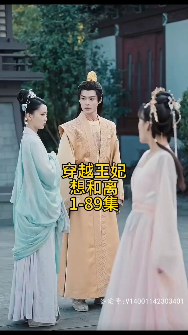 穿越王妃想和离（89集）