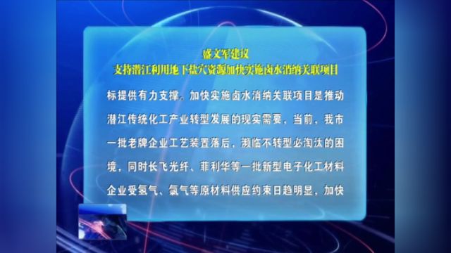 盛文军建议:支持潜江利用地下盐穴资源加快实施卤水消纳关联项目