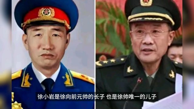 徐小岩是徐向前元帅的儿子,他为军队装备现代化做出了巨大贡献