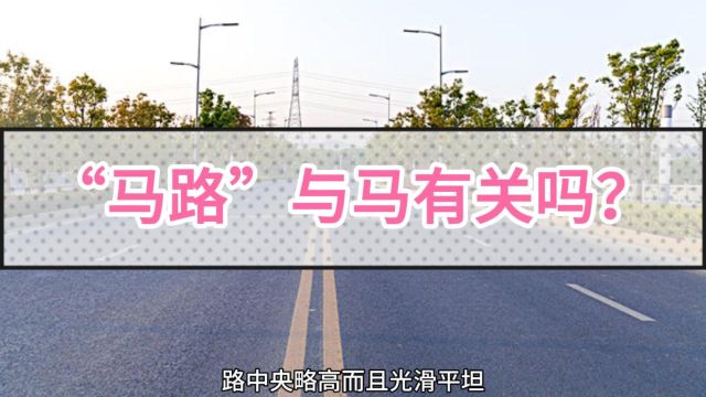 105、“马路”一词的由来真的与马有关?