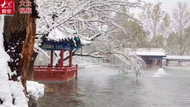 雪融泉涌水长流,过年来济南感受不息泉韵