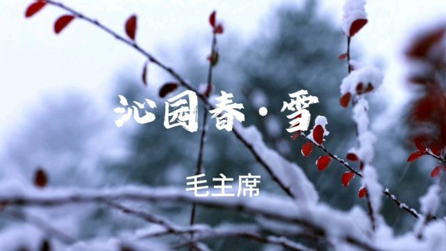 新春第一天拜读毛主席《沁园春雪》,感受伟人情怀,领略祖国大好河山