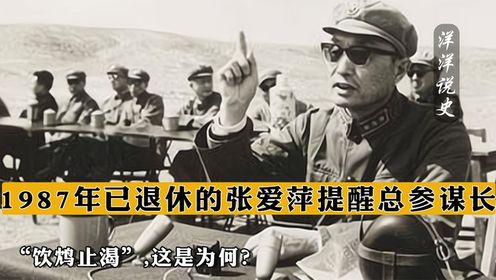 1987年，已退休的张爱萍提醒总参谋长：“饮鸩止渴”,这是为何？