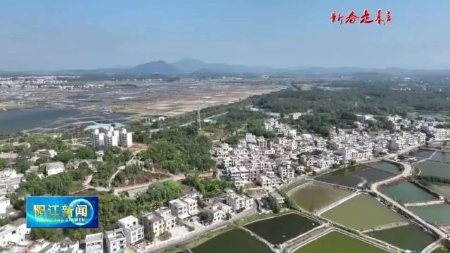 新春走基层丨阳西渡头村:做优做强海水种业 建设生态宜居宜游和美乡村