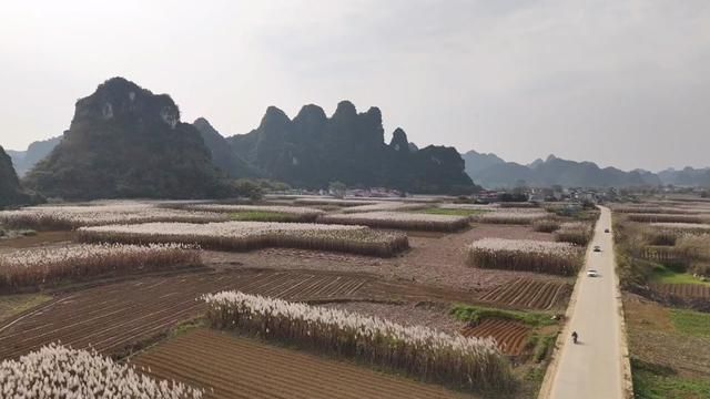 这里是广西崇左市龙州县下冻镇洞埠村空这屯,1979年你们在哪里驻扎,时隔多年你还记得当年的故事吗#广西崇左 #中越边境 #龙州县