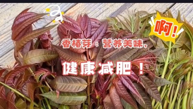 想椿芽:营养美味,健康减肥!