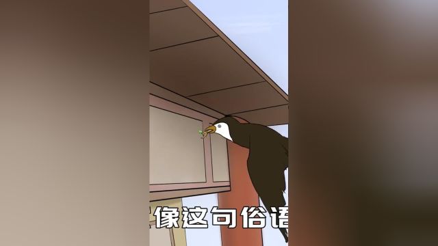 “不怕蛤蟆进家门,就怕三树立门头”,是这样的吗?有什么说法住宅讲究家庭吉祥寓意象征