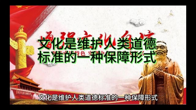 文化是维护人类道德标准的一种保障形式