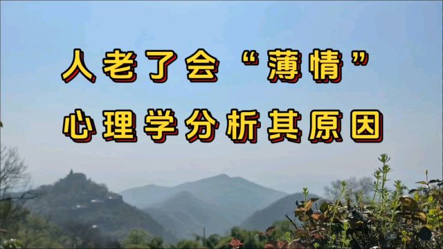 人老了会“薄情”,心理学分析其原因