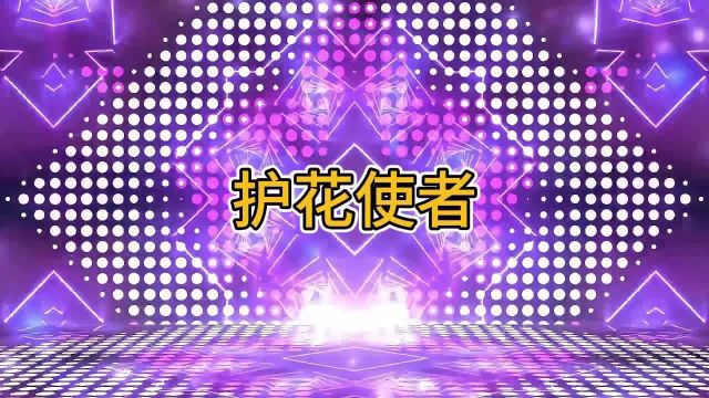 护花使者年会演出动感背景视频完整版