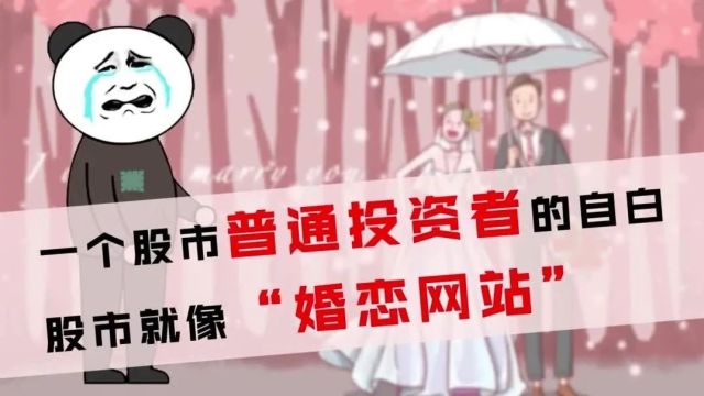 股市就像“婚恋网站”——一个股市普通投资者的自白