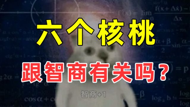 六个核桃跟智商有关系吗?