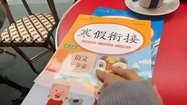 学校否认秦朗巴黎丢寒假作业:查无此人,一年级只有4个班