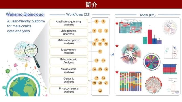 iMeta | 基因组所刘永鑫组与微科盟合作开发宏组学数据在线分析平台