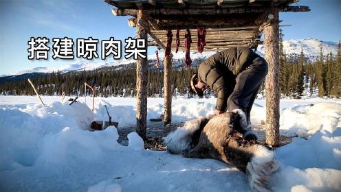 零度以下的生活：搭建晾肉架、连抓两只松鸡、狩猎99斤驯鹿