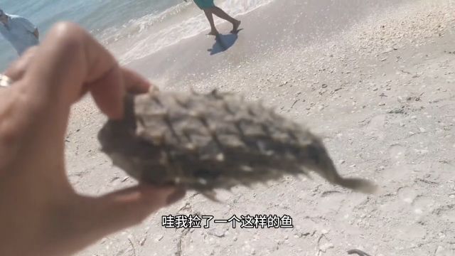 加勒比海海外生活记录真实生活随拍