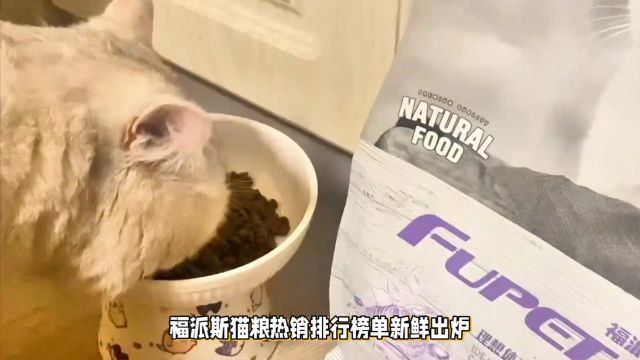 福派斯猫粮,宠物主人的新选择,关键是猫咪喜欢