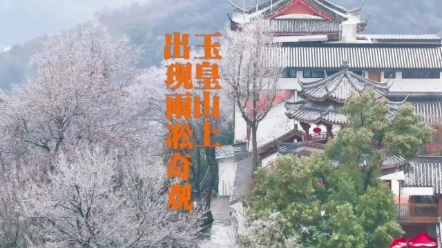 玉皇山今天被雨“冻”住了,宛如仙境!