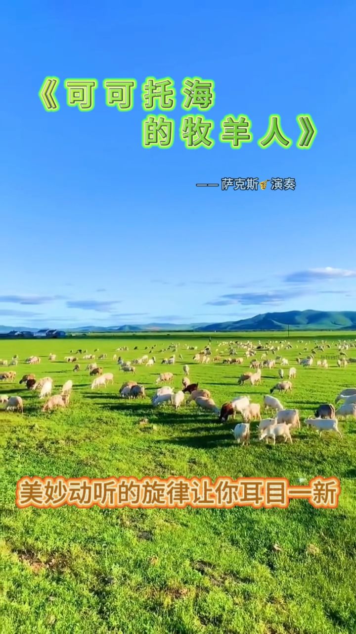 可可拖海的牧羊人图片