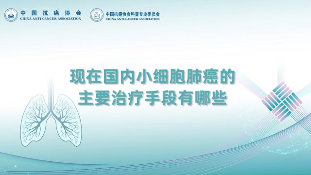 《中国抗癌协会肺癌患者PD1L1用药科普指南》(2023年版)核心观点专家解读国内小细胞肺癌主要治疗手段有哪些