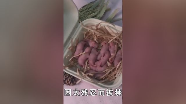 中国十大禁菜,因太残忍被禁止食用,你知道几个?#科普#知识#生活#美食 1