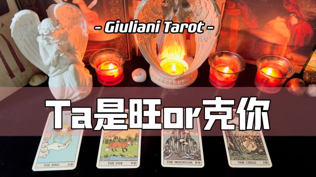 塔罗|TA是旺你还是克你?Pick A Card