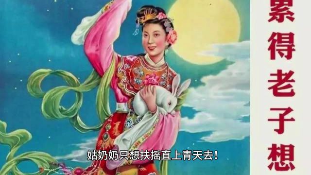 修仙女配要上天 作者:脑壳有包