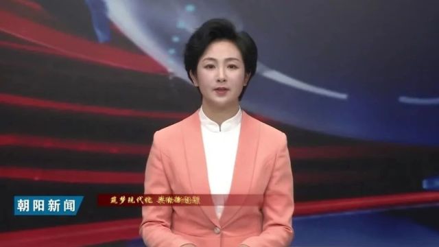 朝阳这老师是全国人大代表