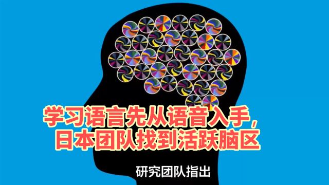 学习语言先从语音入手,日本团队找到活跃脑区